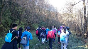 Excursió pel bosc de Planoles, escola de natura