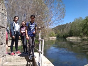 IMG_20160419_135140